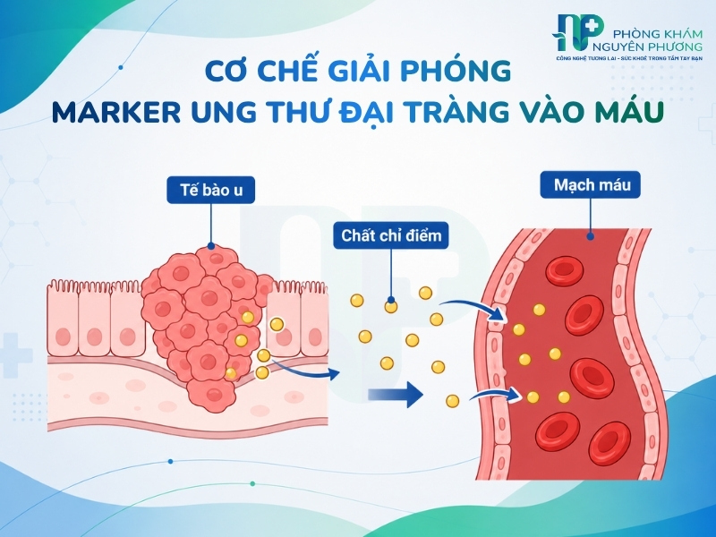 Các chất chỉ điểm sinh học được giải phóng từ tế bào bất thường vào hệ tuần hoàn