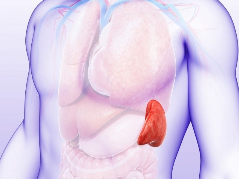 Cắt lách có thể được chỉ định để giảm phá hủy hồng cầu ở Thalassemia nặng