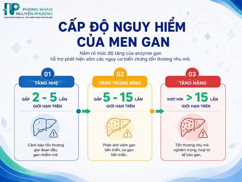 Bảng phân loại các mức độ tăng men gan dựa trên chỉ số thực tế.