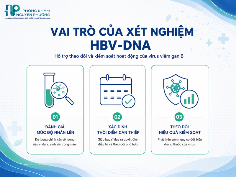 Ý nghĩa của xét nghiệm đo tải lượng virus viêm gan B trong điều trị
