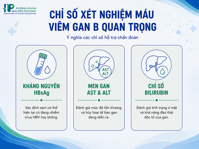 Ý nghĩa các chỉ số xét nghiệm máu quan trọng giúp chẩn đoán bệnh.