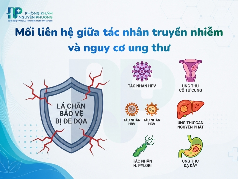 Các loại virus, vi khuẩn phổ biến có khả năng gián tiếp kích hoạt tế bào ác tính