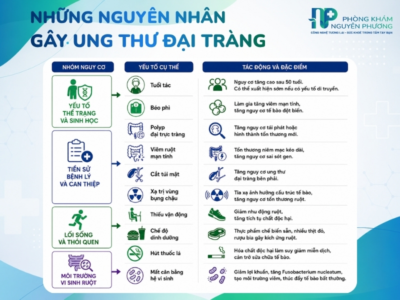 Những nguyên nhân gây ung thư đại tràng