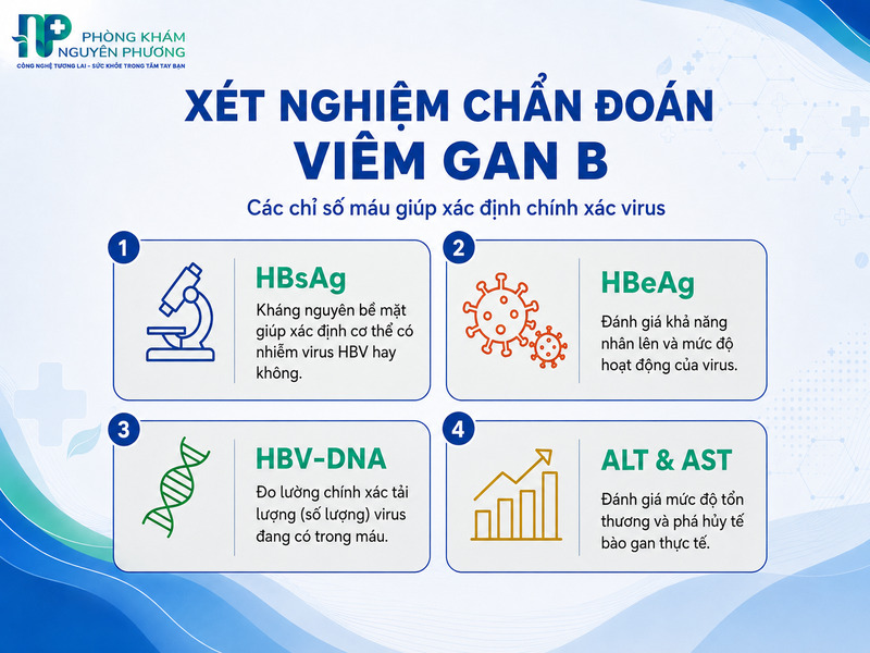 Các chỉ số xét nghiệm máu quan trọng đánh giá viêm gan B