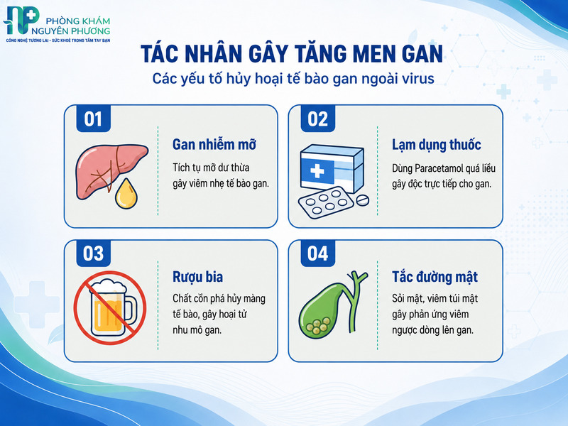 Những tác nhân phổ biến gây tăng men gan ngoài virus
