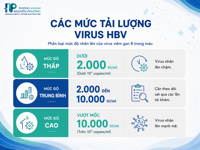 Phân loại các mức độ tải lượng virus viêm gan B trong máu