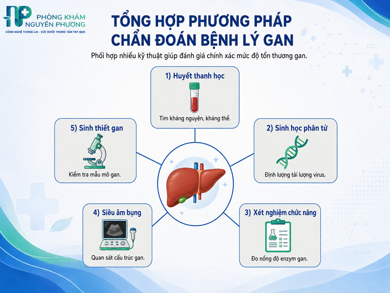 Các phương pháp phổ biến hỗ trợ đánh giá tình trạng sức khỏe gan
