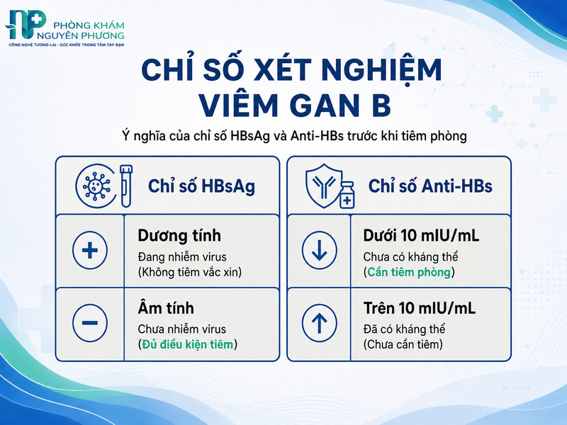 Bảng tra cứu nhanh ý nghĩa hai chỉ số xét nghiệm máu quan trọng trước tiêm chủng.