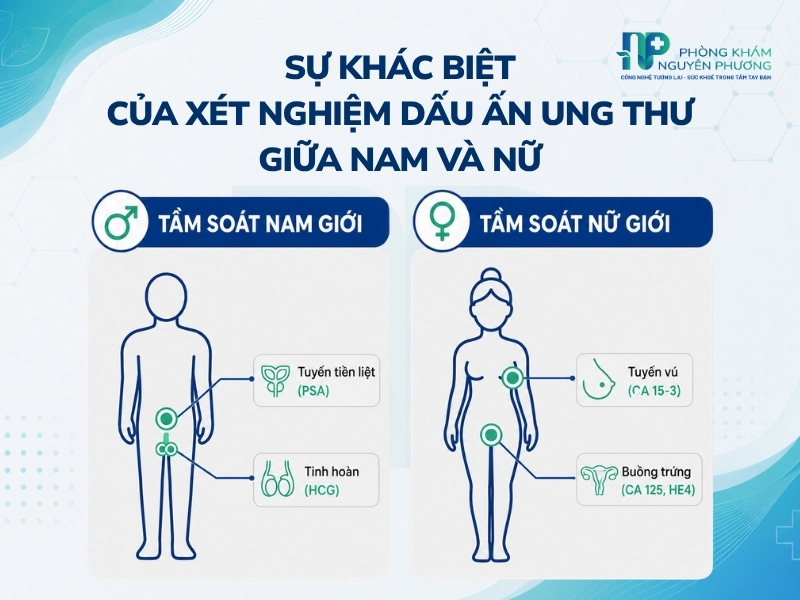 Các chỉ số xét nghiệm máu đặc hiệu tương ứng với các cơ quan trên cơ thể