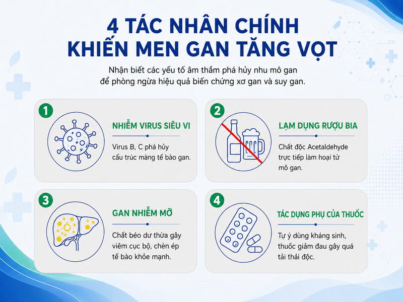 Sơ đồ hệ thống 4 tác nhân phổ biến hủy hoại tế bào gan.