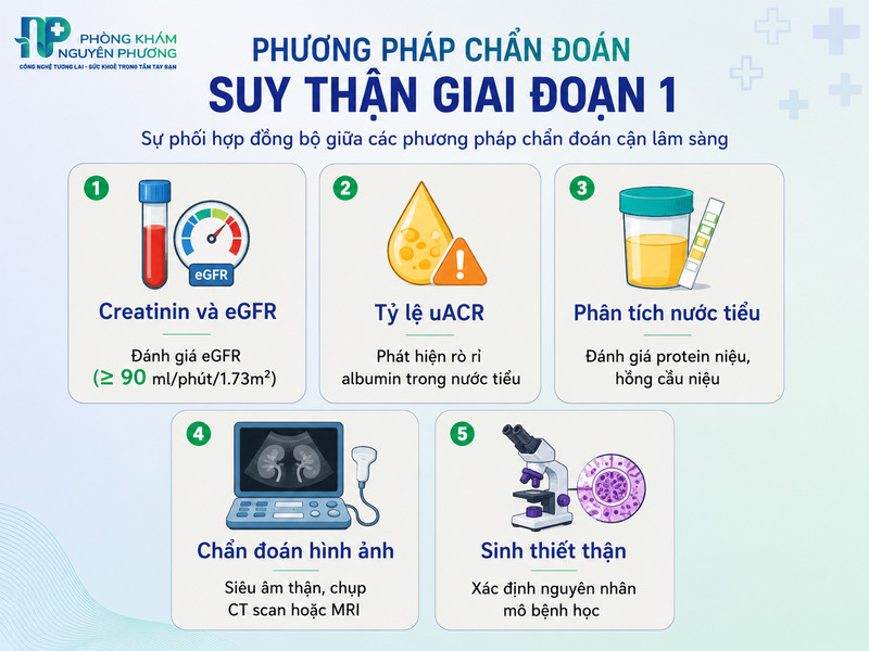 Các chỉ số xét nghiệm máu quan trọng đánh giá chức năng thận