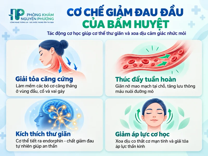 Cơ chế tác động xoa dịu cảm giác nhức mỏi của bấm huyệt