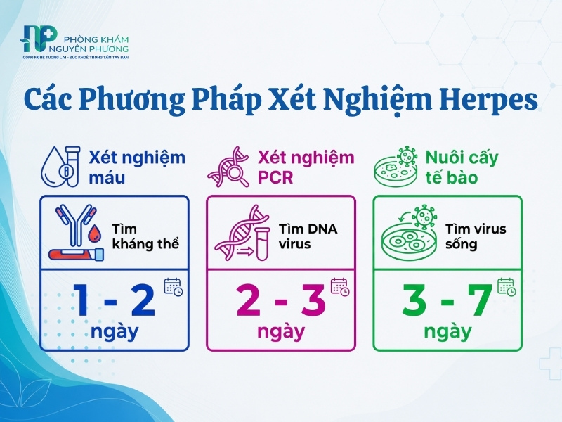 So sánh thời gian và ưu điểm của các phương pháp xét nghiệm herpes